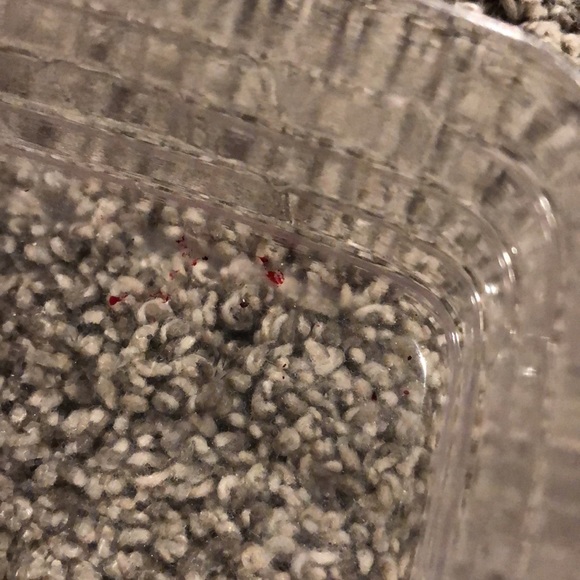 Longaberger Tarragon basket - Picture 6 of 6